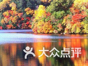 合道镇陶洼子村开展“迎新春，送温暖”暨春节前困难群众慰问活动